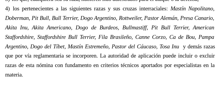 Perros potencialmente peligrosos: el proyecto que busca ordenar una deuda pendiente en Misiones avanzó en comisión imagen-3