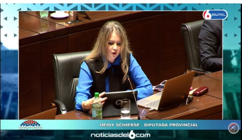 "No son niños de nadie, son nuestros niños": la Legislatura sancionó la Ley de Fortalecimiento de la Vinculación Adoptiva para frenar las "devoluciones" de menores imagen-1