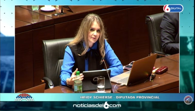 "No son niños de nadie, son nuestros niños": la Legislatura sancionó la Ley de Fortalecimiento de la Vinculación Adoptiva para frenar las "devoluciones" de menores imagen-5