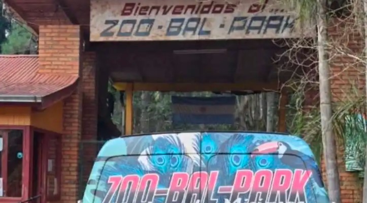 Presunto maltrato animal en el ex zoológico de Montecarlo: la Justicia suspendió obras y cambios en el predio a partir de un amparo imagen-6