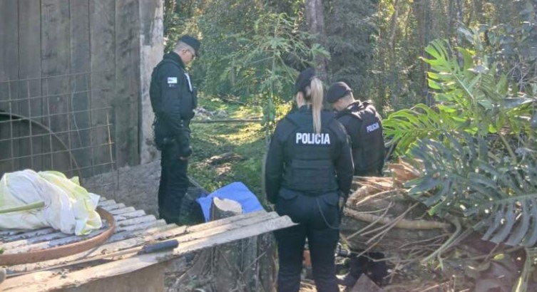 Un hombre falleció mientras realizaba tareas de poda en El Soberbio imagen-13
