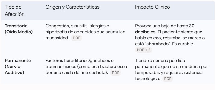 El impacto de la audición en la conexión social y el desarrollo cognitivo: las claves de las especialistas en Wellness TV imagen-6