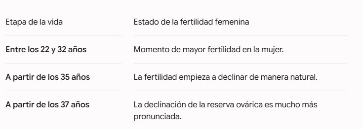 Con la mira en una red de derivación temprana, especialistas advirtieron que "la fertilidad no espera" imagen-8