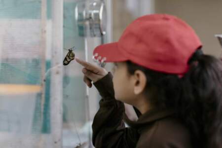 Turismo educativo en Misiones: crecen los viajes escolares a parques provinciales con financiamiento y protocolos de seguridad imagen-4