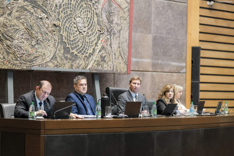Nuevas leyes impulsan el sector metalmecánico y reconocen la trayectoria de los artistas marciales misioneros imagen-2