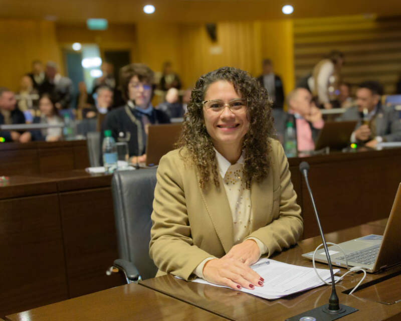 Nuevas herramientas para la seguridad y la formación: la Legislatura sancionó leyes sobre tenencia responsable y educación financiera digital imagen-8