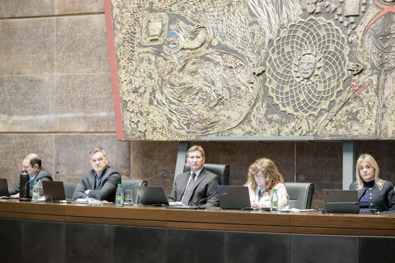 Nuevas herramientas para la seguridad y la formación: la Legislatura sancionó leyes sobre tenencia responsable y educación financiera digital imagen-2