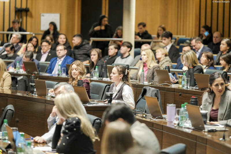 Nuevas herramientas para la seguridad y la formación: la Legislatura sancionó leyes sobre tenencia responsable y educación financiera digital imagen-6