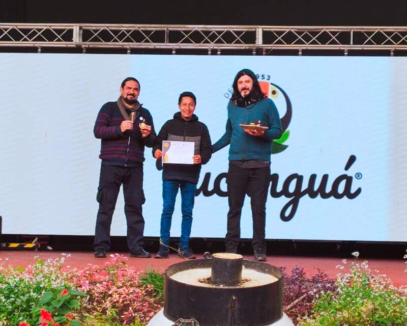 La miel de yateí se consolida en Misiones como producción sustentable que une monte, biodiversidad y cultura guaraní imagen-5