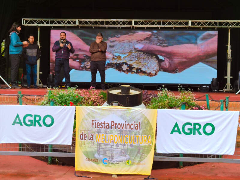 La miel de yateí se consolida en Misiones como producción sustentable que une monte, biodiversidad y cultura guaraní imagen-12