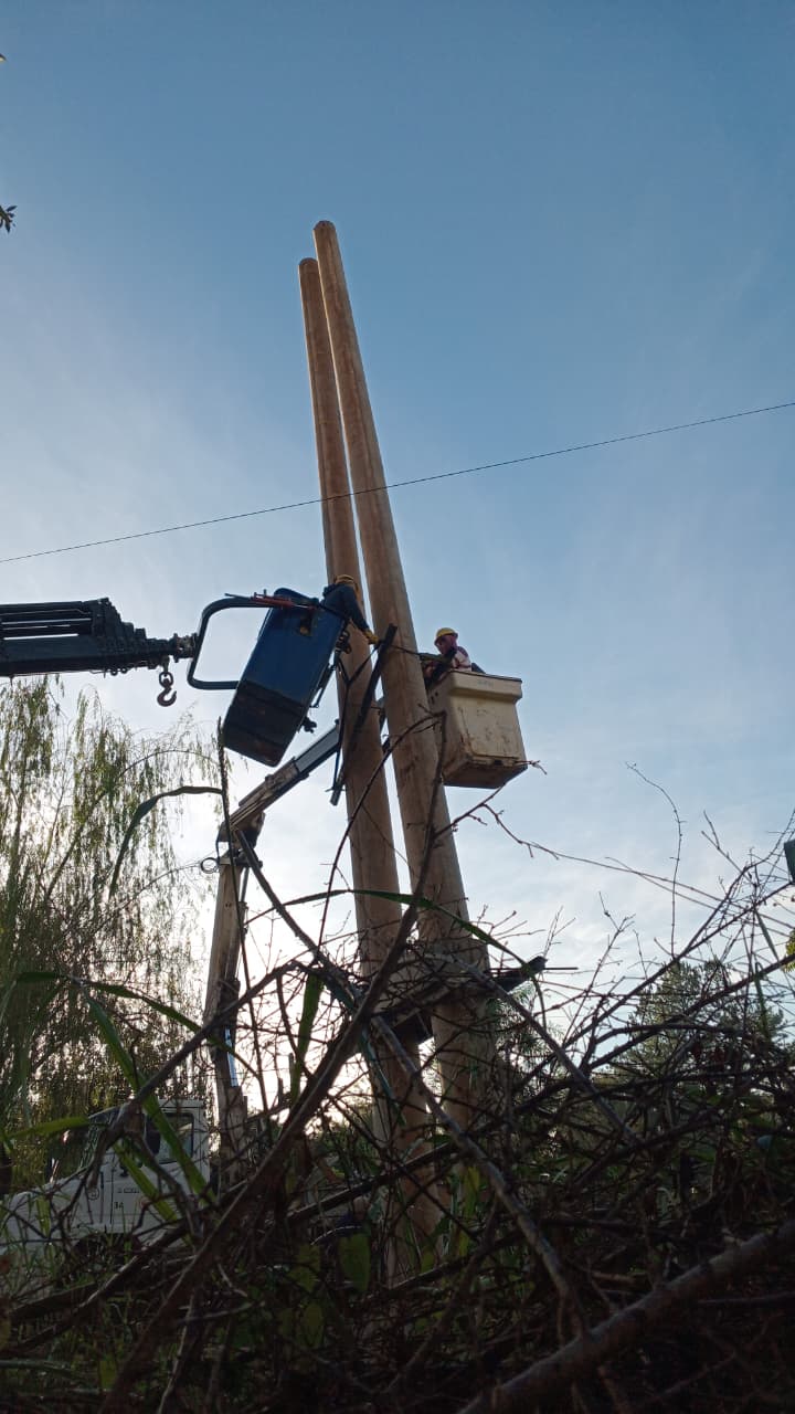 Avanza la renovación total de la línea eléctrica de Andresito: reemplazan 850 postes y casi mil aisladores para garantizar energía por décadas imagen-4