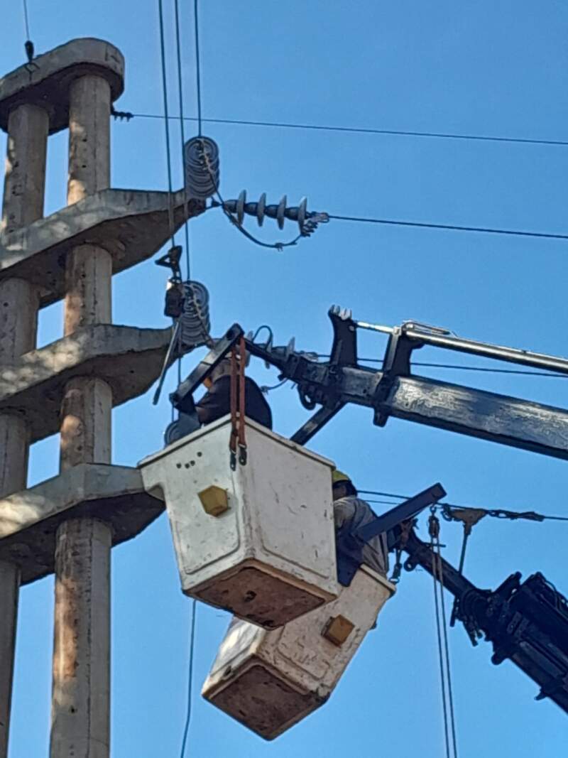 Avanza la renovación total de la línea eléctrica de Andresito: reemplazan 850 postes y casi mil aisladores para garantizar energía por décadas imagen-10