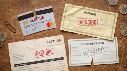 Las deudas ahogan a las familias: la mora bancaria alcanzó su nivel más alto imagen-8