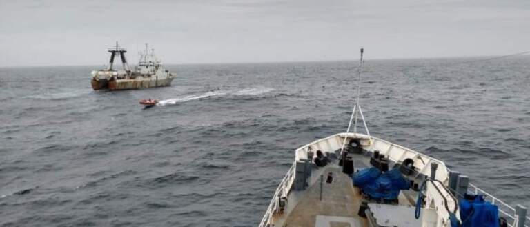 Proponen cárcel y multas millonarias para combatir la pesca ilegal en el Mar Argentino imagen-21