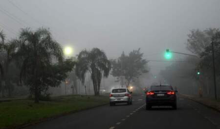 Tiempo: Nublado y frio por la mañana con niebla, bueno y templado por la tarde Tiempo: Nublado y frio por la mañana con niebla, bueno y templado por la tarde imagen-5