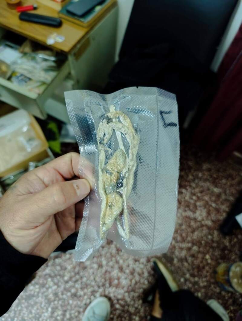 Atacó a vecinos, dejó tres lesionados y en su habitación la Policía halló droga fraccionada y hongos alucinógenos imagen-4