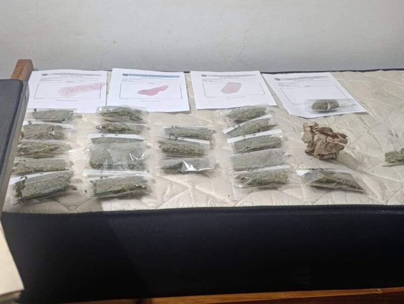 Atacó a vecinos, dejó tres lesionados y en su habitación la Policía halló droga fraccionada y hongos alucinógenos imagen-9