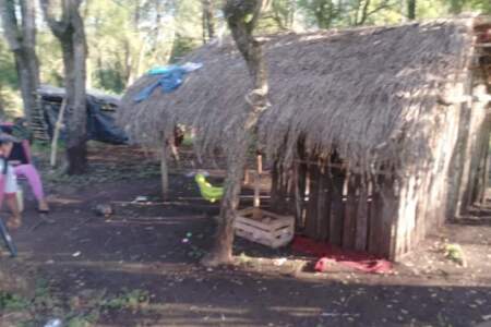 Impulsan una colecta solidaria para asistir a familias Mbyá Guaraní ante la falta de alimentos, medicamentos y acceso al agua Impulsan una colecta solidaria para asistir a familias Mbyá Guaraní ante la falta de alimentos, medicamentos y acceso al agua imagen-4