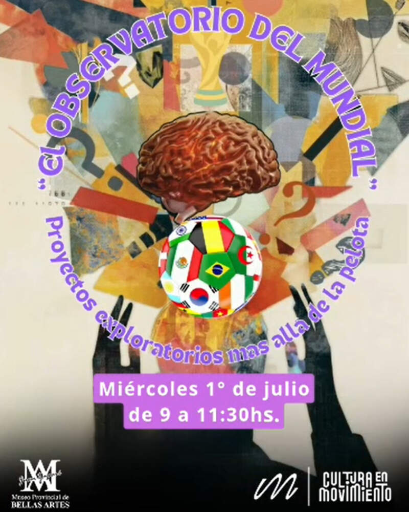 Del Mundial a la escuela: estudiantes misioneros analizan el fútbol desde la ciencia y la sociedad imagen-2