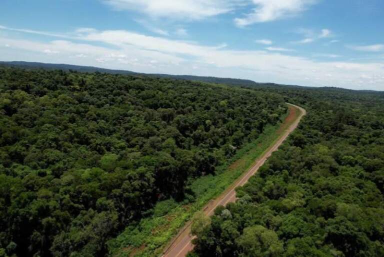 Misiones avanzará con el Bono de Infraestructura y prepara el primer Bono Verde respaldado por créditos de carbono Misiones avanzará con el Bono de Infraestructura y prepara el primer Bono Verde respaldado por créditos de carbono imagen-43