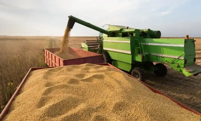 El Gobierno baja retenciones y fija un plan escalonado hasta 2028: impacto directo en el campo y las exportaciones imagen-7