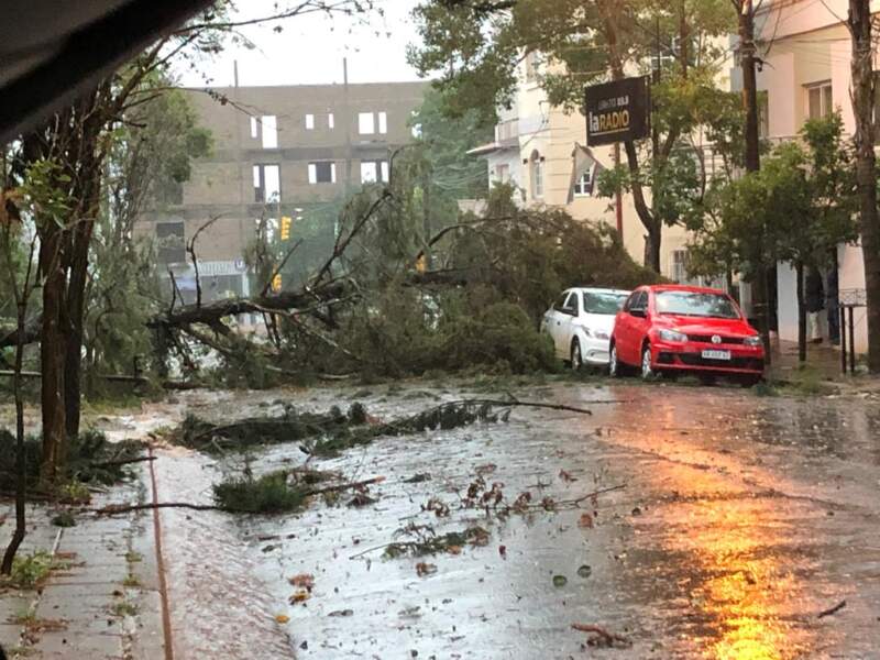 Alerta naranja por tormentas: prevén lluvias, ráfagas y caída de granizo para este domingo en Misiones imagen-6