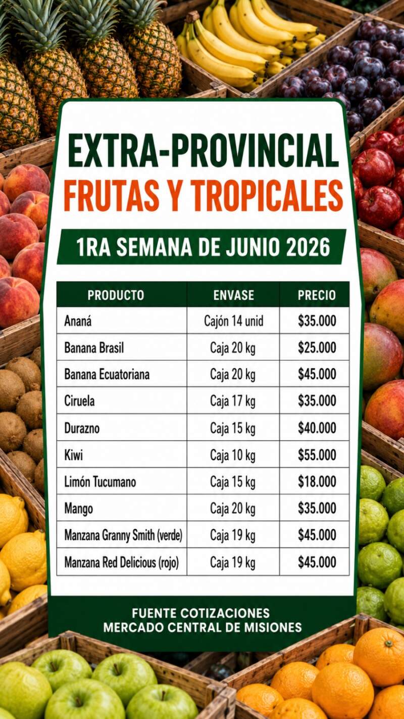 Del campo al Mercado Central Misiones: frutas y verdura con beneficios directos al consumidor 16 Del campo al Mercado Central Misiones: frutas y verdura con beneficios directos al consumidor imagen-15