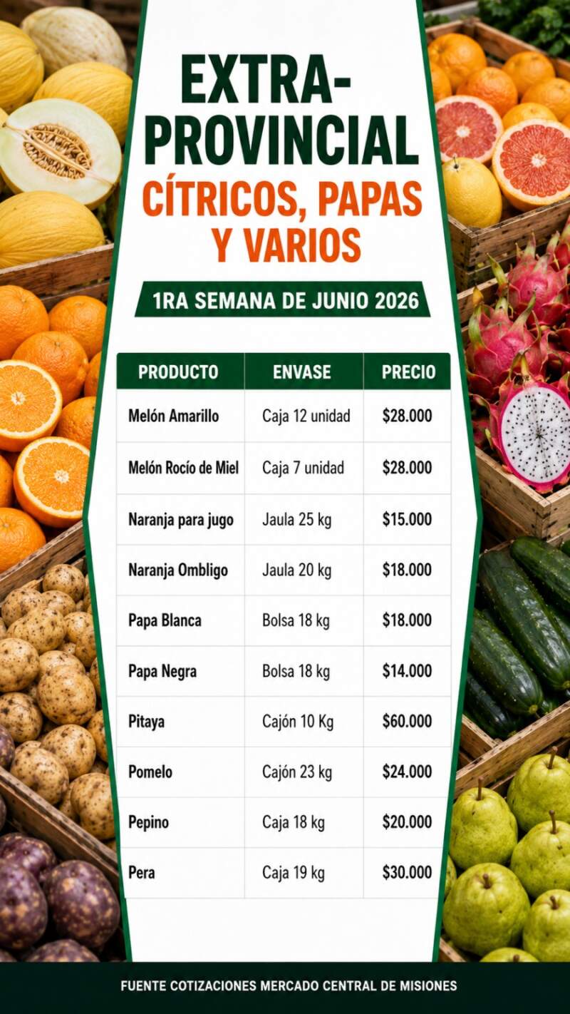 Del campo al Mercado Central Misiones: frutas y verdura con beneficios directos al consumidor 14 Del campo al Mercado Central Misiones: frutas y verdura con beneficios directos al consumidor imagen-13