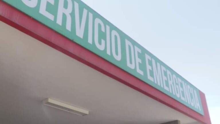 La taturana, el “gusano asesino” del monte misionero, puso en riesgo una vida y el Madariaga logró salvar al paciente imagen-31