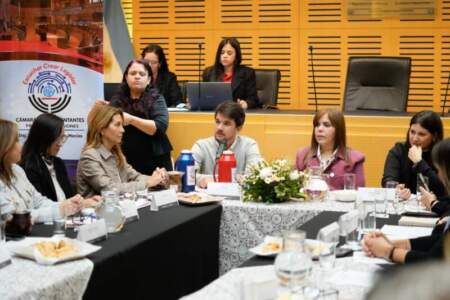 Romero Spinelli llamó a fortalecer el trabajo conjunto para defender los derechos de las personas con discapacidad imagen-7