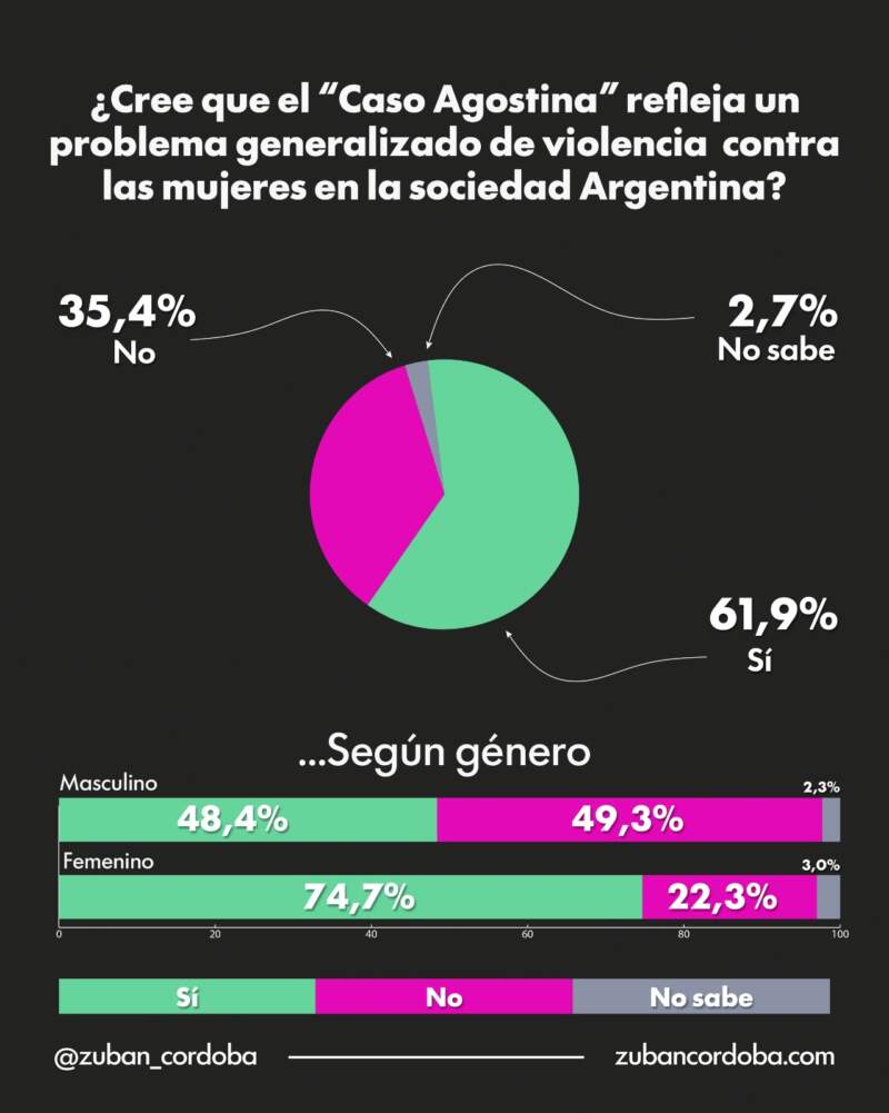 Encuesta: Siete de cada 10 argentinos consideran que la violencia contra las mujeres es un problema estructural imagen-8