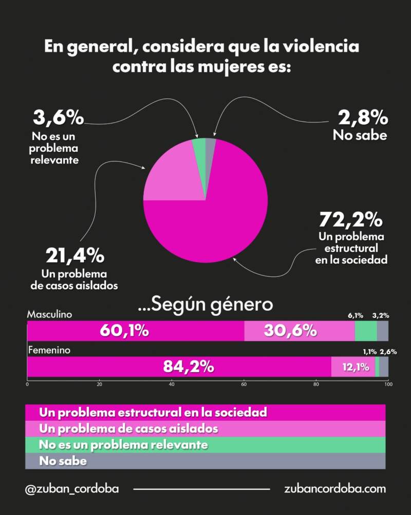 Encuesta: Siete de cada 10 argentinos consideran que la violencia contra las mujeres es un problema estructural imagen-10