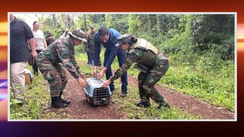 ZooBalPark: Ecología suspendió habilitaciones y avanza en un proceso de reconversión por irregularidades en el manejo de fauna 8 ZooBalPark: Ecología suspendió habilitaciones y avanza en un proceso de reconversión por irregularidades en el manejo de fauna imagen-7