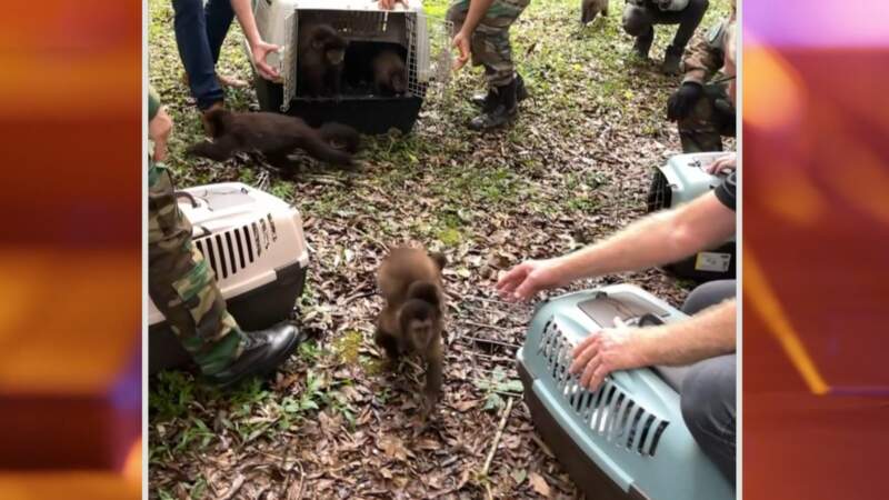 ZooBalPark: Ecología suspendió habilitaciones y avanza en un proceso de reconversión por irregularidades en el manejo de fauna 14 ZooBalPark: Ecología suspendió habilitaciones y avanza en un proceso de reconversión por irregularidades en el manejo de fauna imagen-13