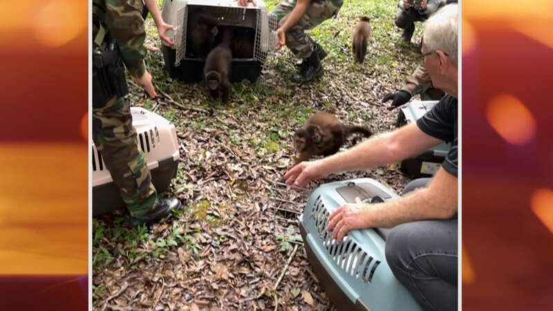 ZooBalPark: Ecología suspendió habilitaciones y avanza en un proceso de reconversión por irregularidades en el manejo de fauna 12 ZooBalPark: Ecología suspendió habilitaciones y avanza en un proceso de reconversión por irregularidades en el manejo de fauna imagen-11