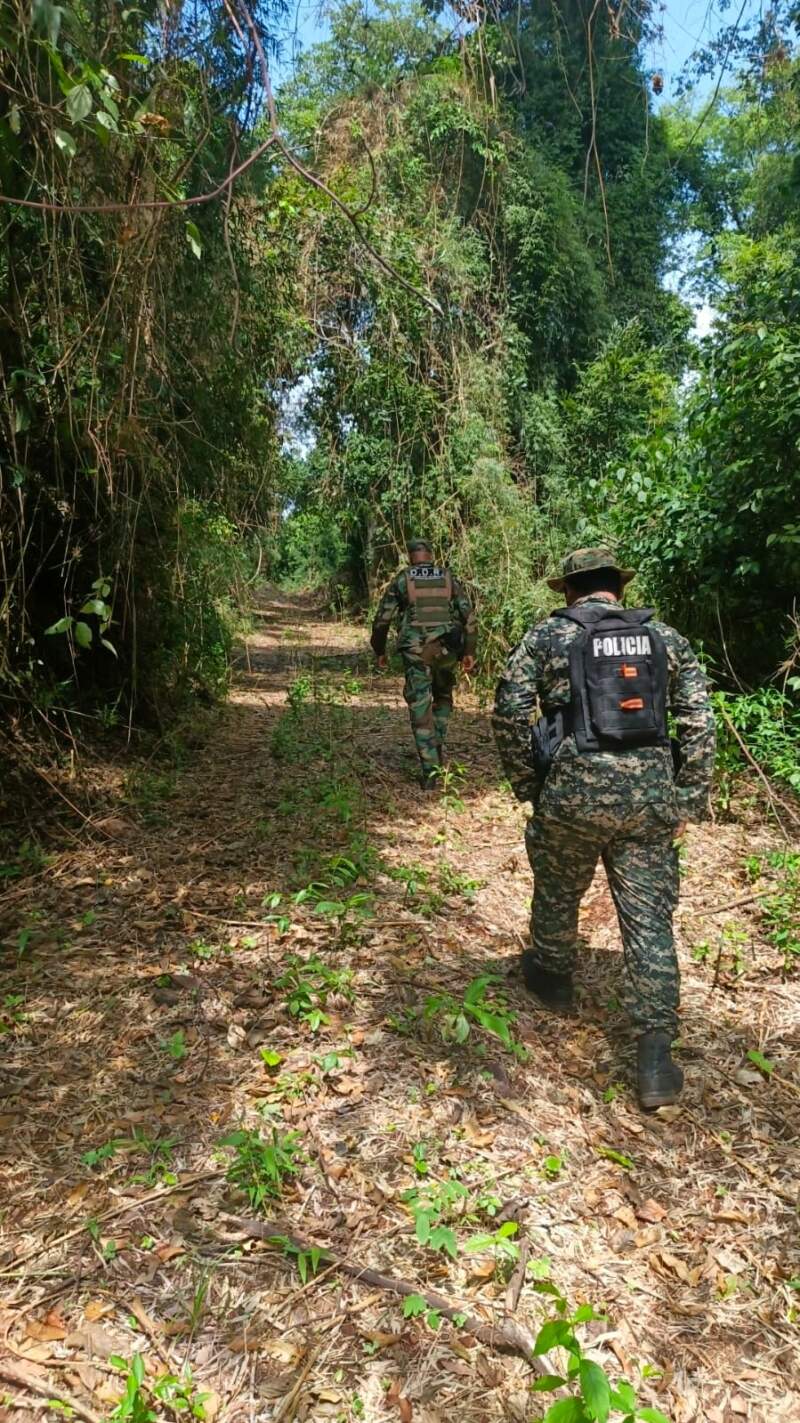 Activaron una alerta por un presunto secuestro, pero el hombre buscado estaba colaborando como testigo en un operativo federal imagen-6