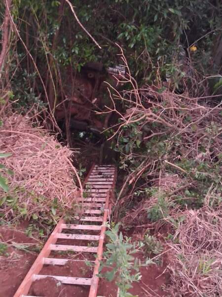 Murió un cabo del Servicio Penitenciario tras despistar y chocar contra árboles sobre la Ruta Provincial 4 imagen-3