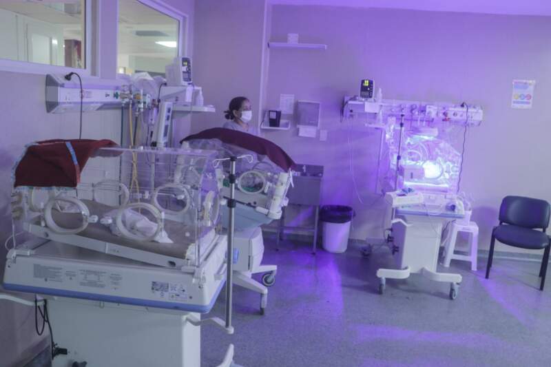Neonatología en red: cómo el Hospital Materno Neonatal salva la vida de los bebés más vulnerables de Misiones imagen-4