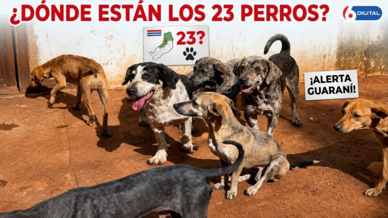 “Si nosotros no lo hacemos, ¿quién lo va a hacer?”: Micaela Pereira y la lucha por darle voz a los animales imagen-30