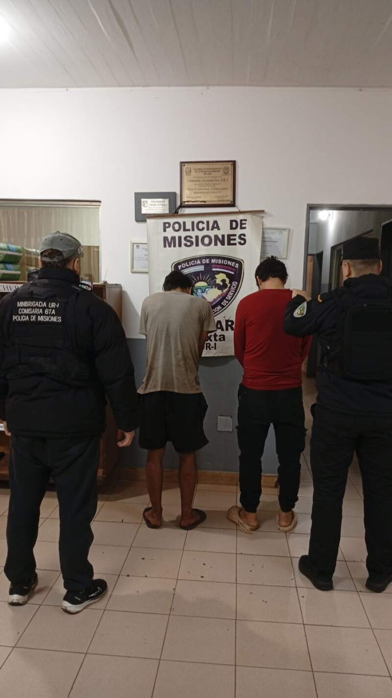 Se escondió en un árbol para evadir a la Policía, pero terminó detenido junto a su hermano 3 Se escondió en un árbol para evadir a la Policía, pero terminó detenido junto a su hermano imagen-2