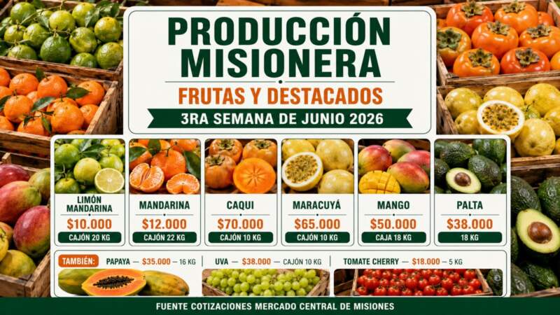 Calidad de la chacra a la mesa: El Mercado Central de Misiones garantiza variedad y precios accesibles en su nueva lista imagen-10
