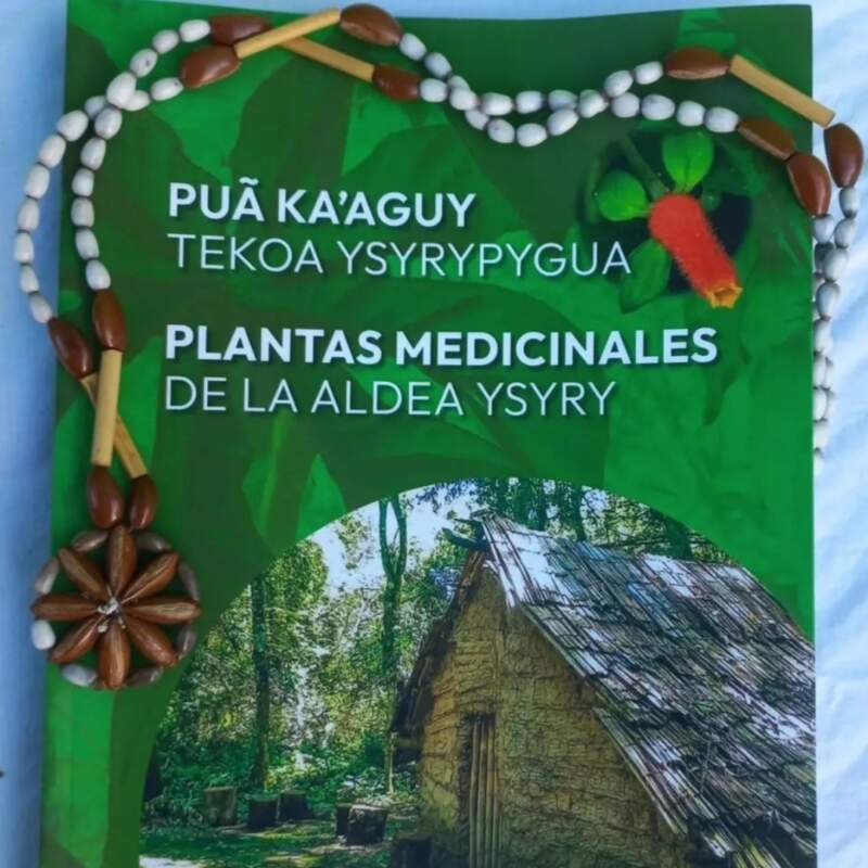 Harán un Encuentro Multicultural a través de plantas y tradiciones 3 Harán un Encuentro Multicultural a través de plantas y tradiciones imagen-2