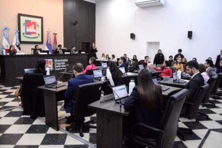 HCD: Buscan fortalecer el cuidado del arbolado urbano posadeño con participación ciudadana y estudiantil imagen-11