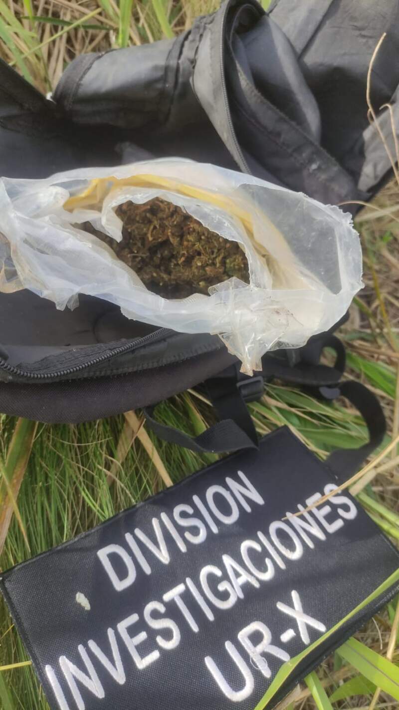 Policías encubiertos secuestraron en Posadas marihuana valuada en casi $3 millones imagen-4