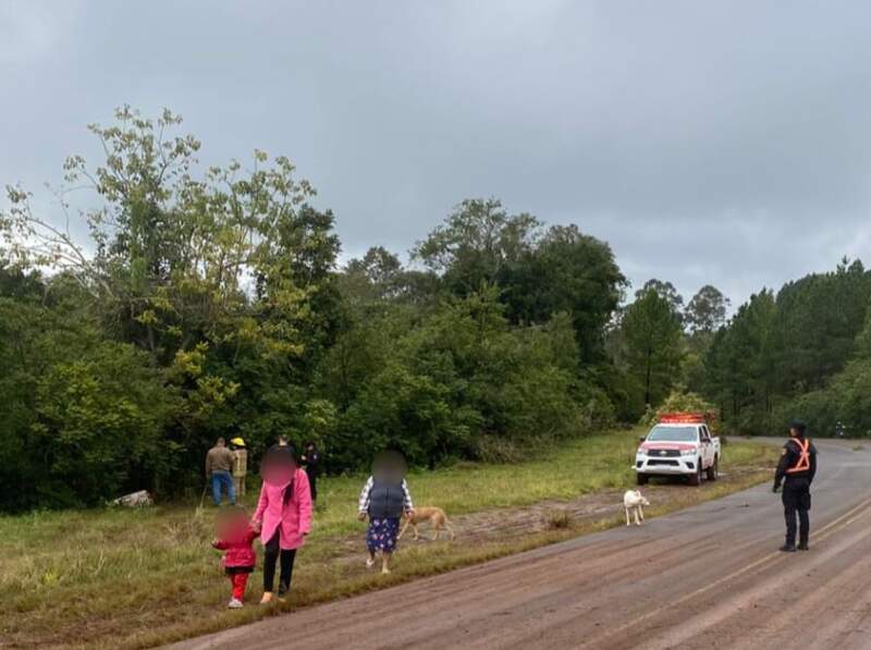 Una camioneta despistó en El Soberbio pero su conductor resultó ileso imagen-2