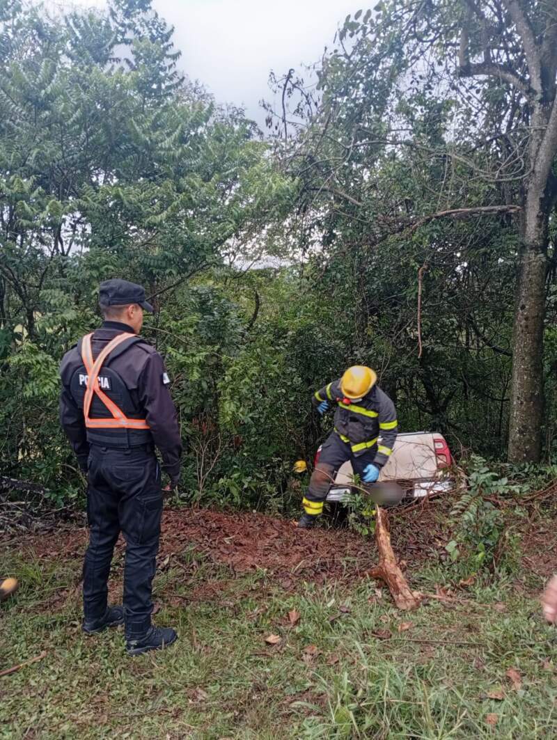 Una camioneta despistó en El Soberbio pero su conductor resultó ileso imagen-4