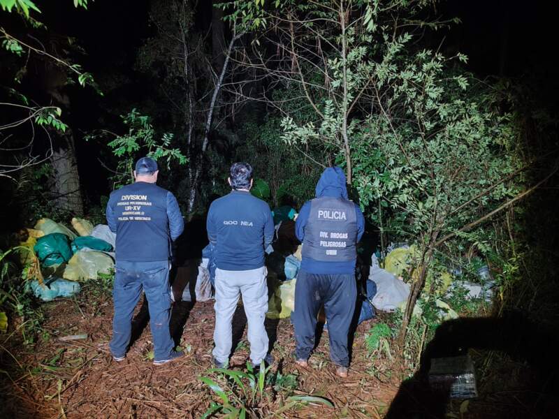 Decomisaron casi 6 toneladas de marihuana valuadas en más de $21 mil millones 3 Decomisaron casi 6 toneladas de marihuana valuadas en más de $21 mil millones imagen-2