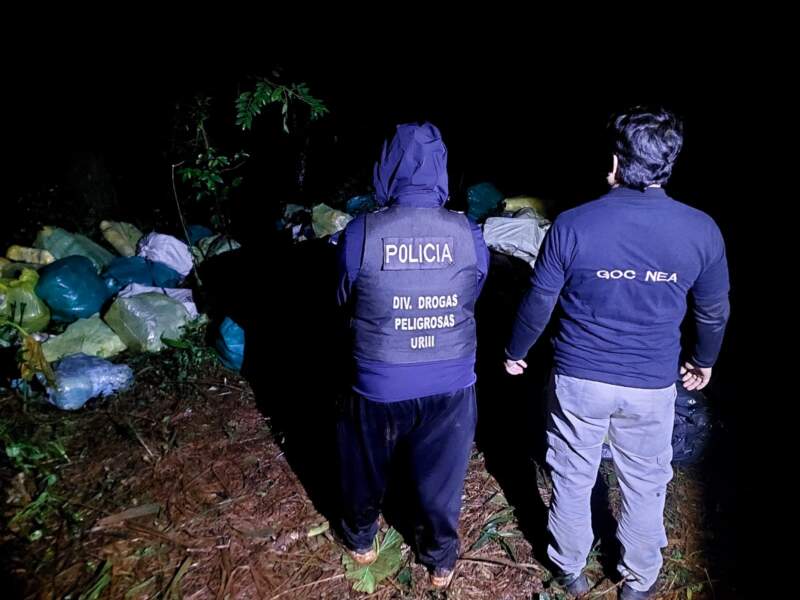 Decomisaron casi 6 toneladas de marihuana valuadas en más de $21 mil millones 7 Decomisaron casi 6 toneladas de marihuana valuadas en más de $21 mil millones imagen-6