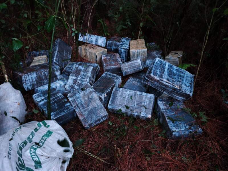 Decomisaron casi 6 toneladas de marihuana valuadas en más de $21 mil millones 13 Decomisaron casi 6 toneladas de marihuana valuadas en más de $21 mil millones imagen-12