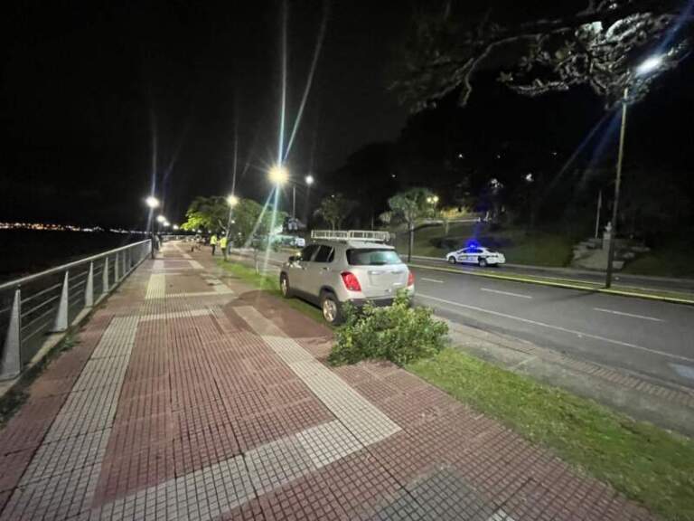 Perdió el control de su camioneta y terminó sobre la vereda en la Costanera de Posadas Perdió el control de su camioneta y terminó sobre la vereda en la Costanera de Posadas imagen-33